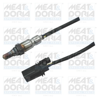 Oxygen Sensor